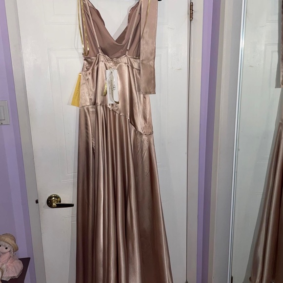Bronx and Banco Leo Champagne Gown (size 10) - Picture 6 of 8